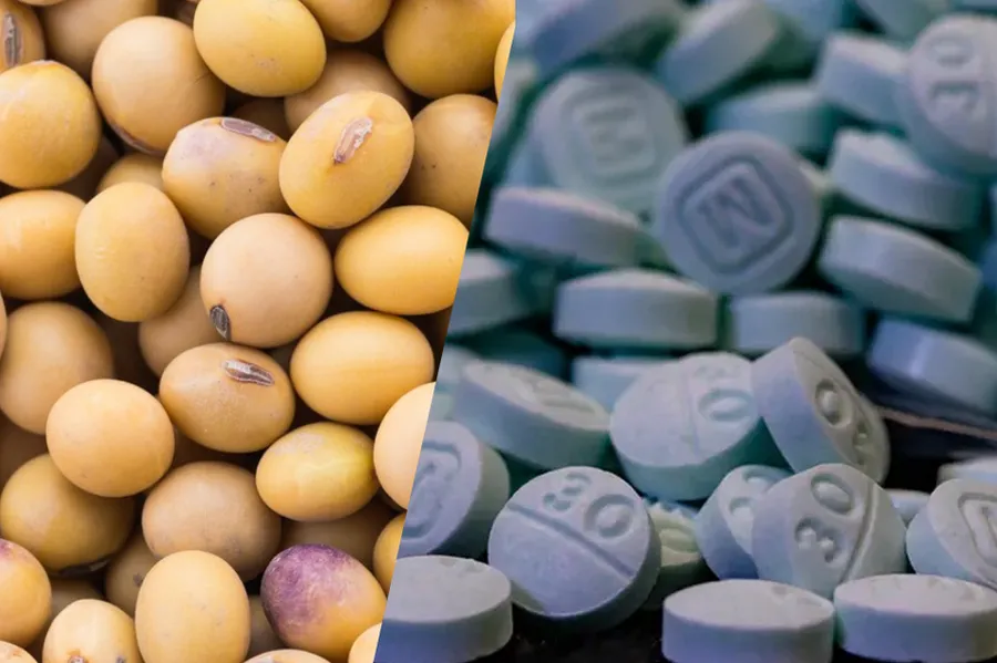 EO - Pills and Beans